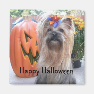 Imán P1080884, Feliz Halloween