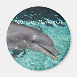 Imán P8010404, Nassau, Bahamas