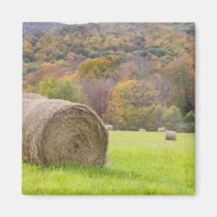 Imán Pacas de heno y follaje de otoño en granja,