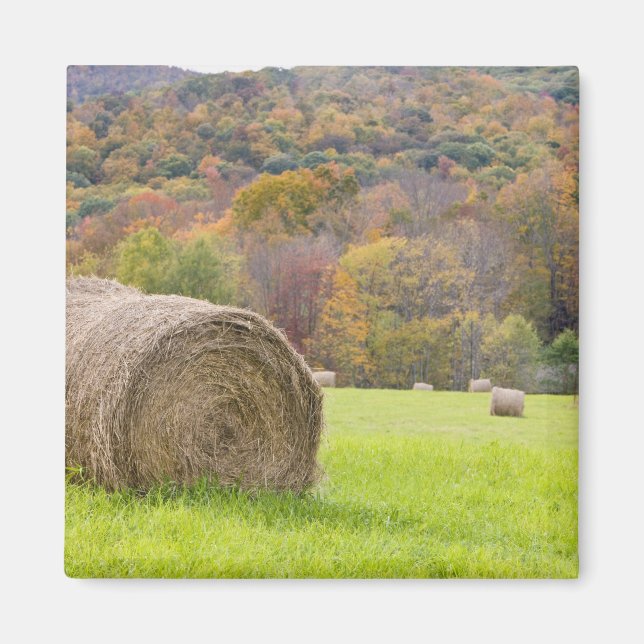 Imán Pacas de heno y follaje de otoño en granja, (Frente)