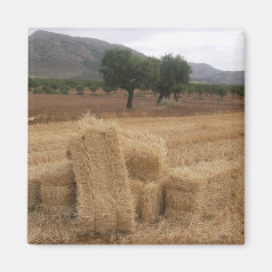 Imán Pacas de paja y almendros