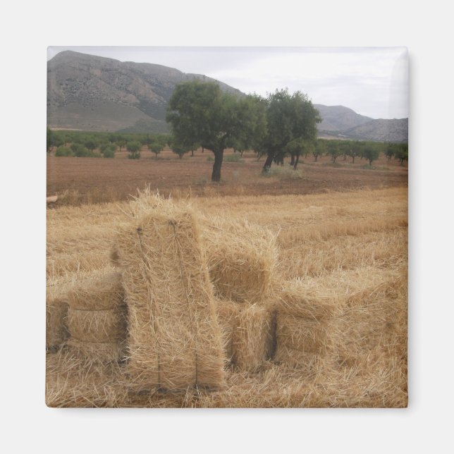 Imán Pacas de paja y almendros (Frente)
