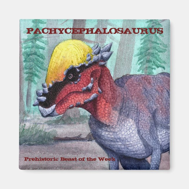 Imán Pachycephalosaurio Magnet (Frente)