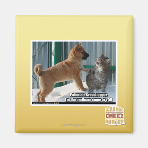 Imán Paciencia, Grasshopper.