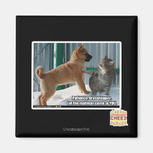 Imán Paciencia, saltamontes