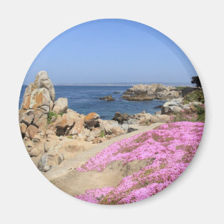 Imán Pacific Grove