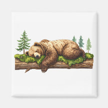 Pacífico Ilustracion acuático del oso durmiente