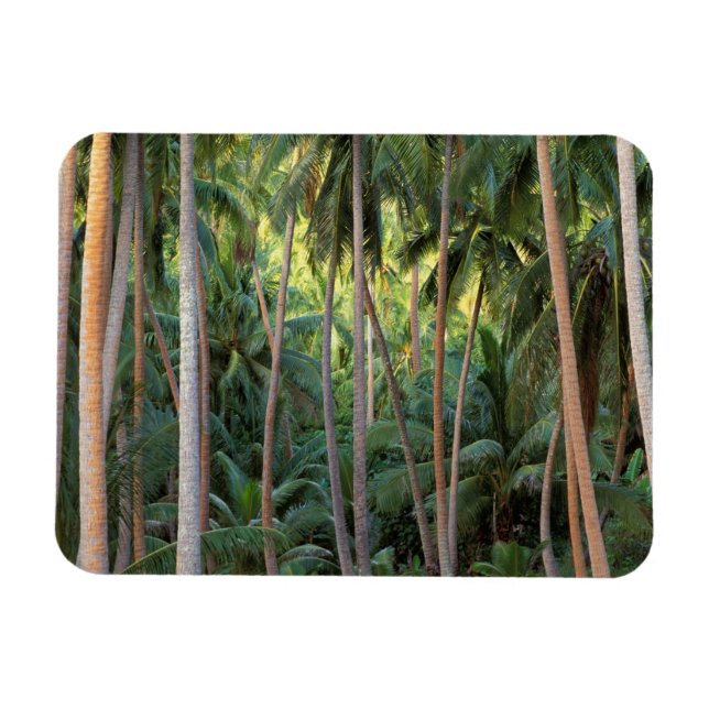 Imán Pacífico Sur, Polinesia Francesa, Bora Bora. (Horizontal)