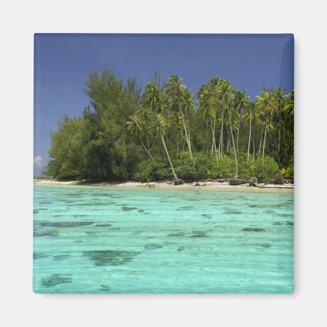 Imán Pacífico Sur, Polinesia Francesa, Moorea 2 (Frente)