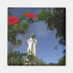 Imán Pacífico Sur, Polinesia Francesa, Tahití. Hibisco