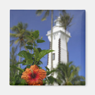 Imán Pacífico Sur, Polinesia Francesa, Tahití. Hibisco