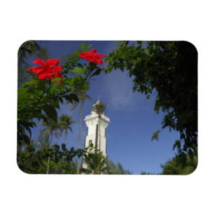Imán Pacífico Sur, Polinesia Francesa, Tahití. Hibisco