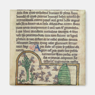 Imán Página de Roy del texto con el ilustracion de