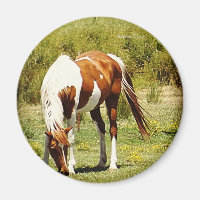 Paint Horse