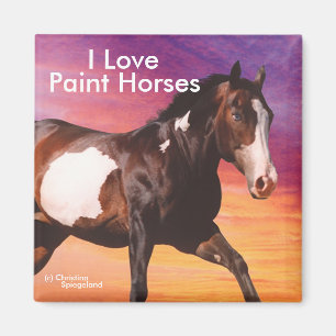 Imán Paint Horse galloping sunrise