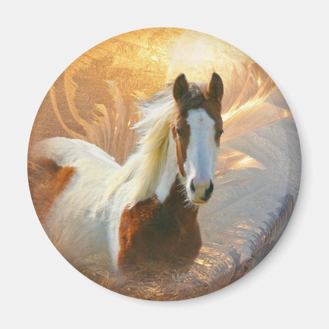 Imán Paint Horse Gold Magnet (Frente)