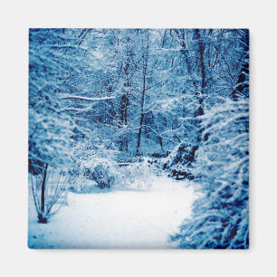 Imán País de las maravillas del invierno