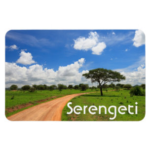 Imán Paisaje africano