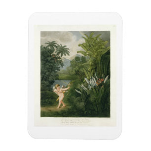 Imán Paisaje con Cupido apuntando una flecha a un loro 