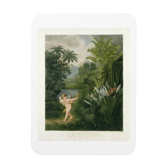 Imán Paisaje con Cupido apuntando una flecha a un loro  (Vertical)