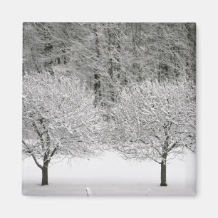 Imán Paisaje cubierto de nieve