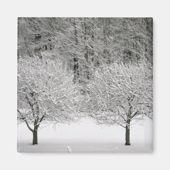 Imán Paisaje cubierto de nieve (Frente)