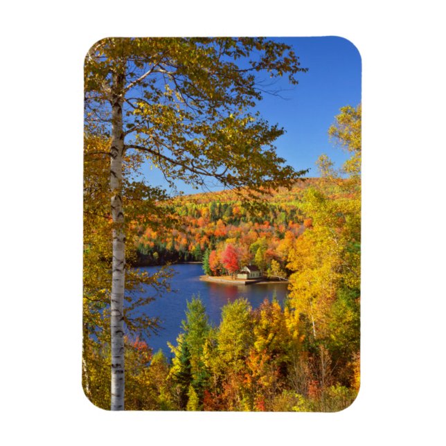 Imán Paisaje de árboles de otoño, Maine (Vertical)