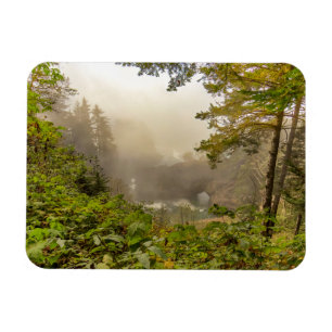 Imán Paisaje de bosque y océano
