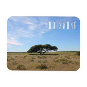 Imán Paisaje de Botsuana Sabana Sabana
