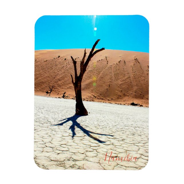 Imán Paisaje de dunas de arena de Namibia Sossusvlei (Vertical)