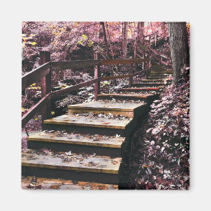 Imán paisaje de ensueño de las escaleras