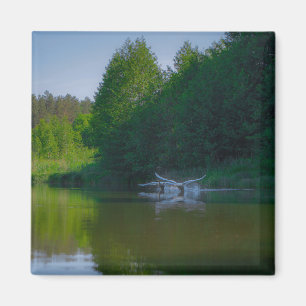 Imán Paisaje de la naturaleza Cisne volando