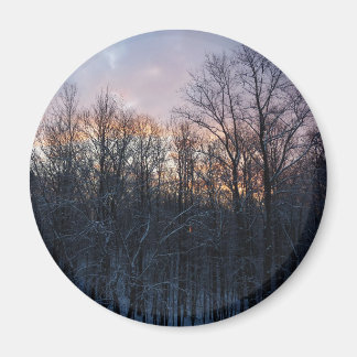 Imán Paisaje de la Naturaleza del Sol Invierno I Pastel