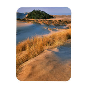 Imán Paisaje de las dunas de arena de Oregón