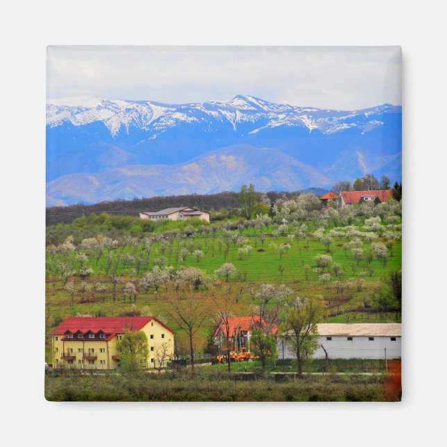 Imán Paisaje de las montañas Sibiu (Frente)