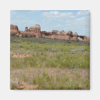 Imán paisaje de moab