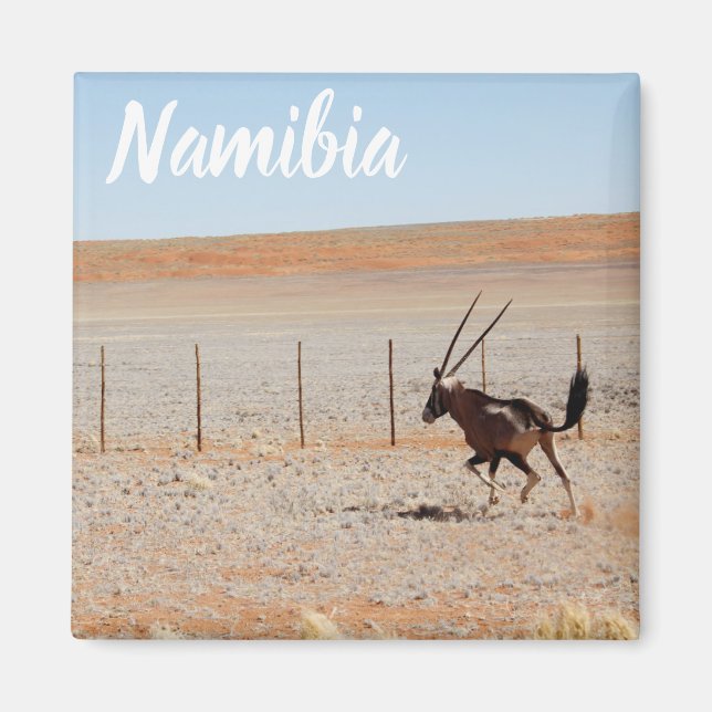 Imán Paisaje de Namibia - Oryx del desierto de Namibia (Frente)