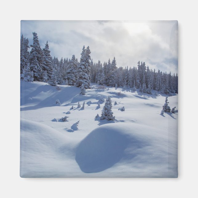 Imán Paisaje de nieve (Frente)