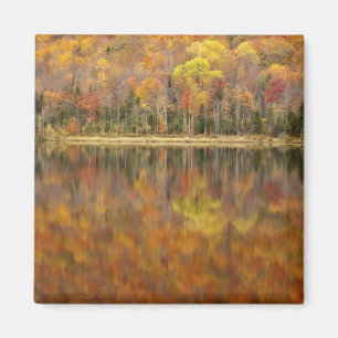Imán paisaje de otoño con lago, Vermont, EE. UU.