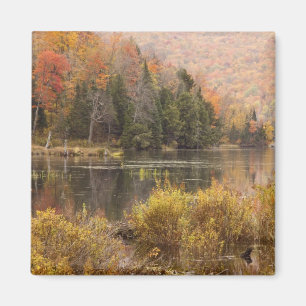 Imán paisaje de otoño con lago, Vermont, EE. UU. 3