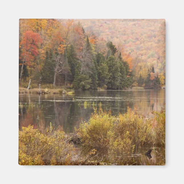 Imán paisaje de otoño con lago, Vermont, EE. UU. 3 (Frente)