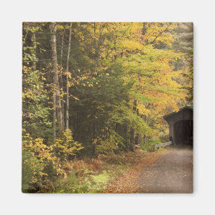 Imán paisaje de otoño, Vermont, EE. UU. 4