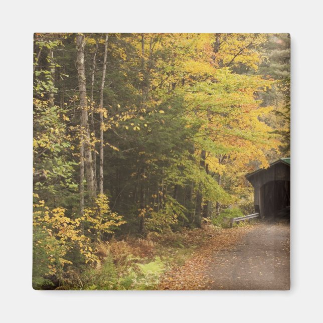 Imán paisaje de otoño, Vermont, EE. UU. 4 (Frente)