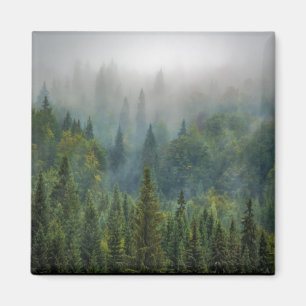 Imán Paisaje de pinos meridionales