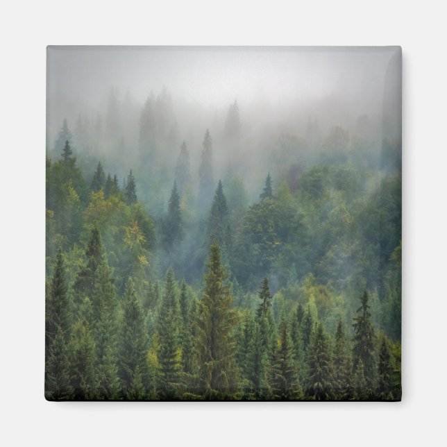Imán Paisaje de pinos meridionales (Frente)