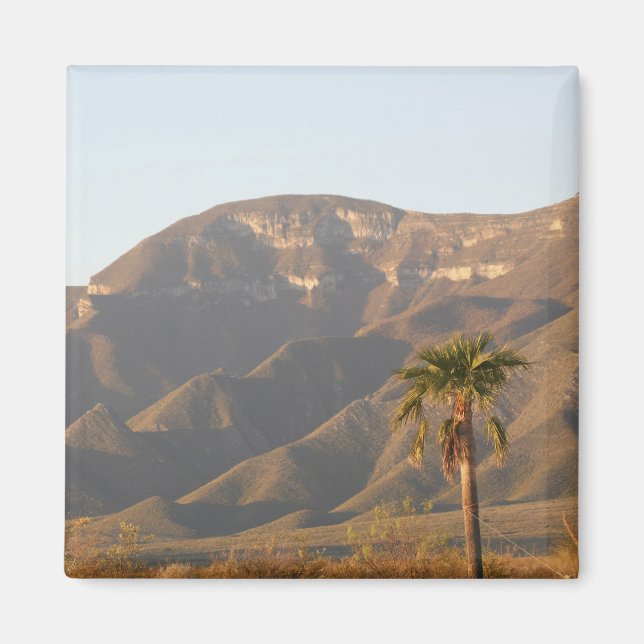 Imán Paisaje de rancho desértico cerca de Monterrey, Mé (Frente)