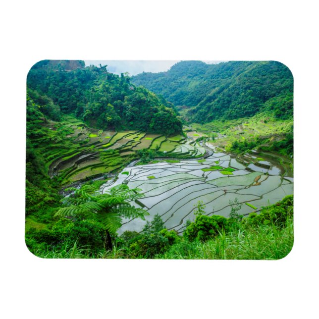 Imán Paisaje de terraza de arroz, Filipinas (Horizontal)