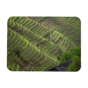 Imán Paisaje de terrazas de arroz en la montaña,