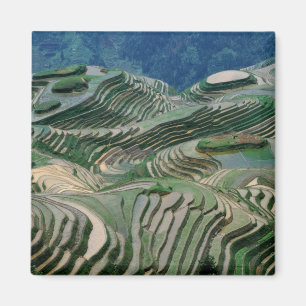 Imán Paisaje de terrazas de arroz en la montaña,