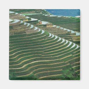 Imán Paisaje de terrazas de arroz en la montaña, 3
